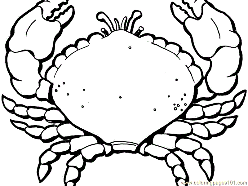 Printable Lobster Coloring Pages