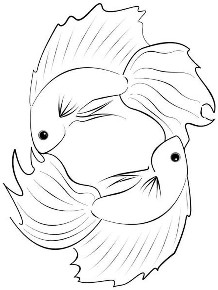 Nice Betta Fish Coloring Pages