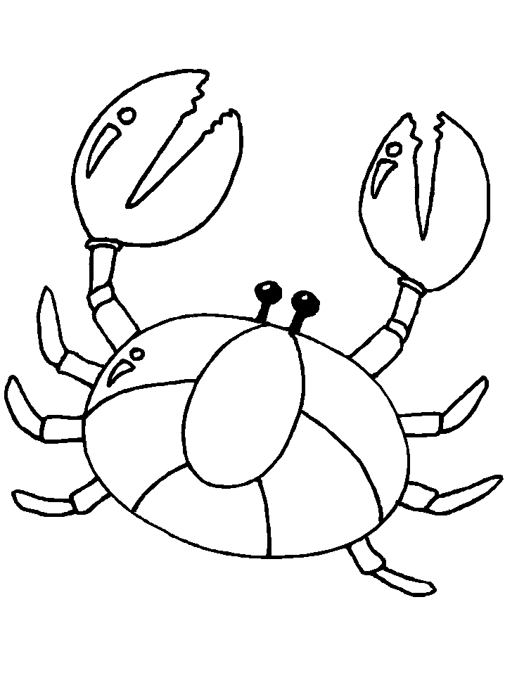 Crab As Spider
