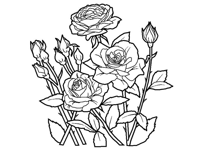 Cartoon Rose Coloring Page