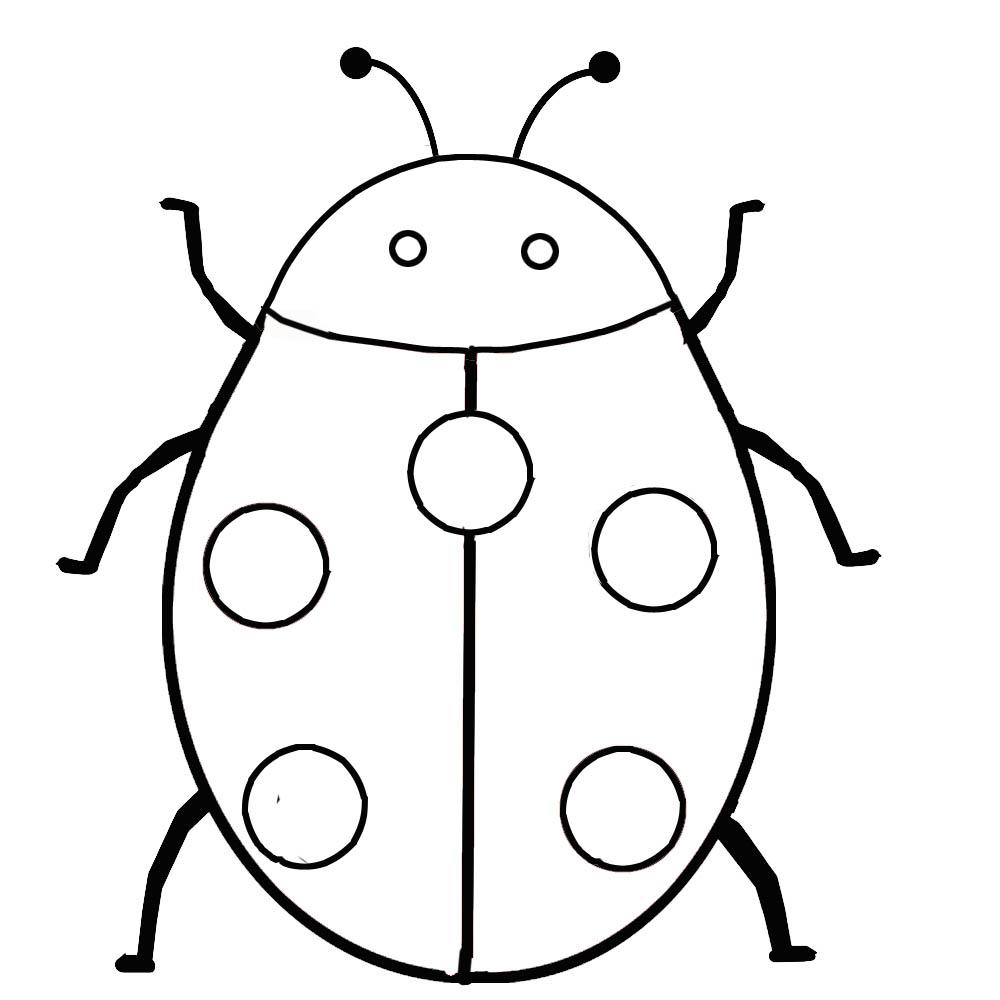 Ladybug Coloring Pages To Print For Kids