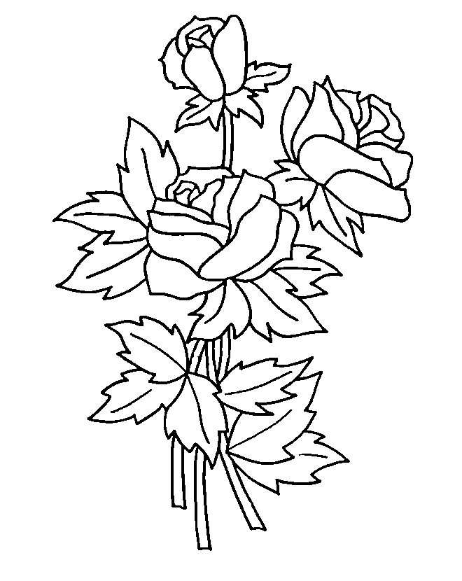 New Rose Coloring Pages Printable