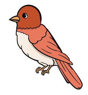 bird-drawing-7