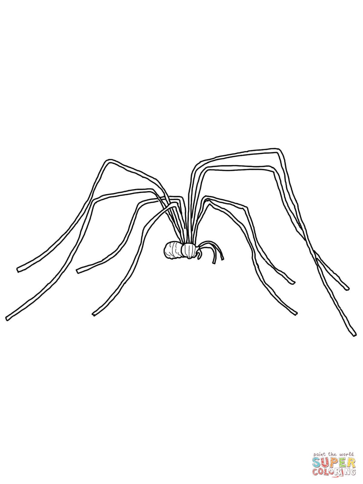 Daddy Long Legs coloring page