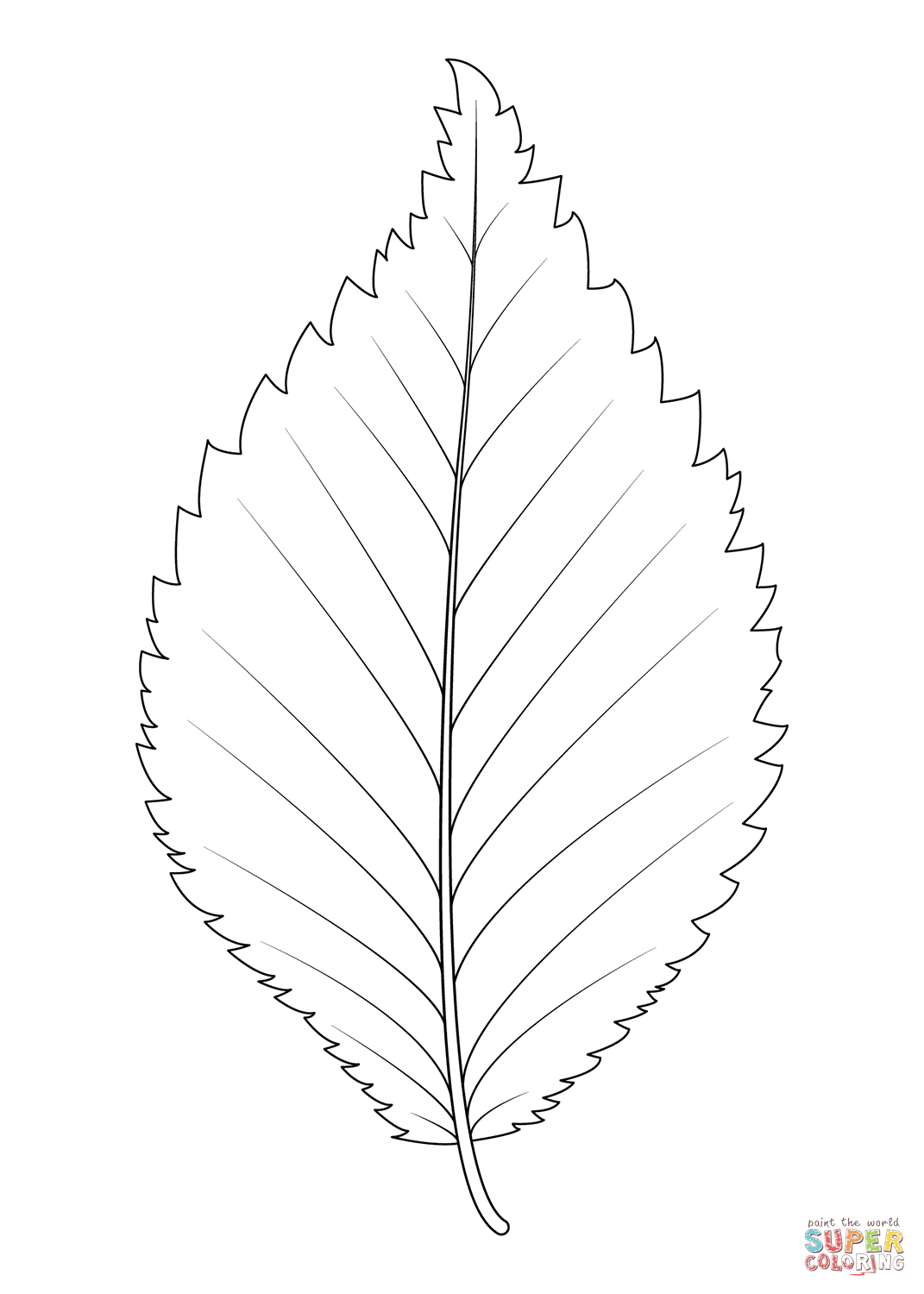 Dutch elm leaf coloring page