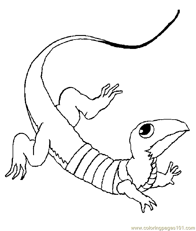 Earth Lizard Coloring Page