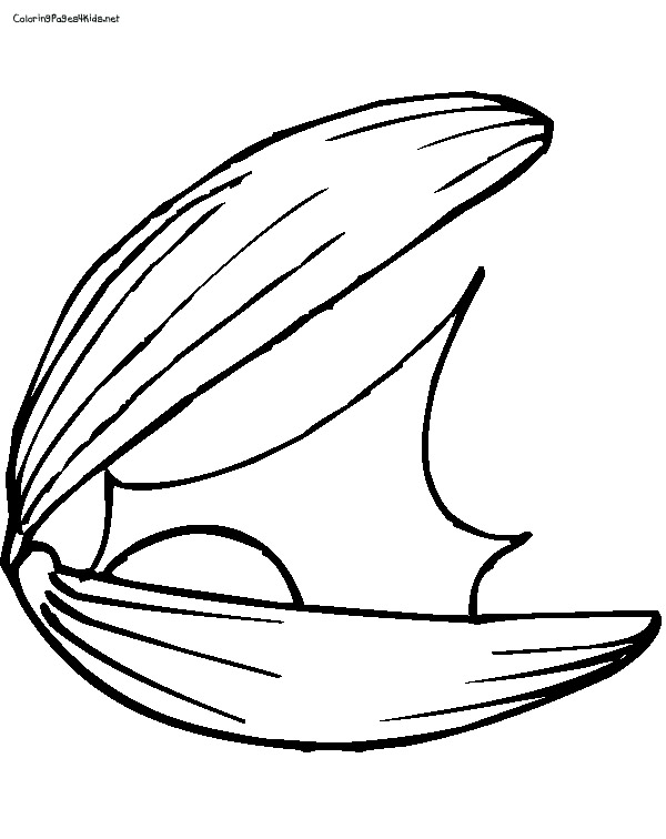 New Clam Coloring Pages