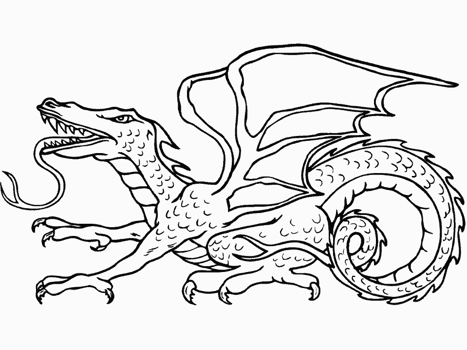 New Dragon Coloring Pages