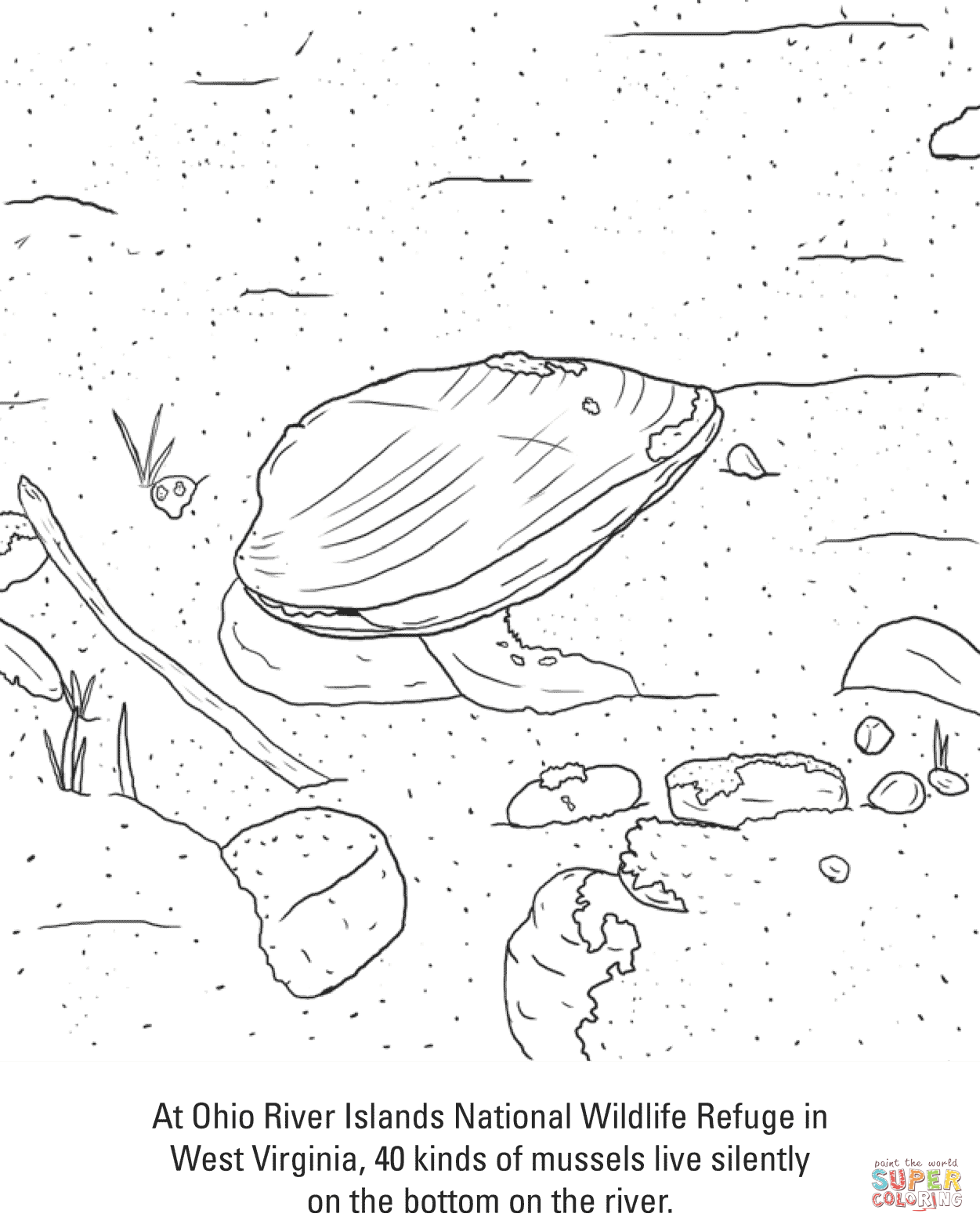 Ohio River Mussels Coloring page
