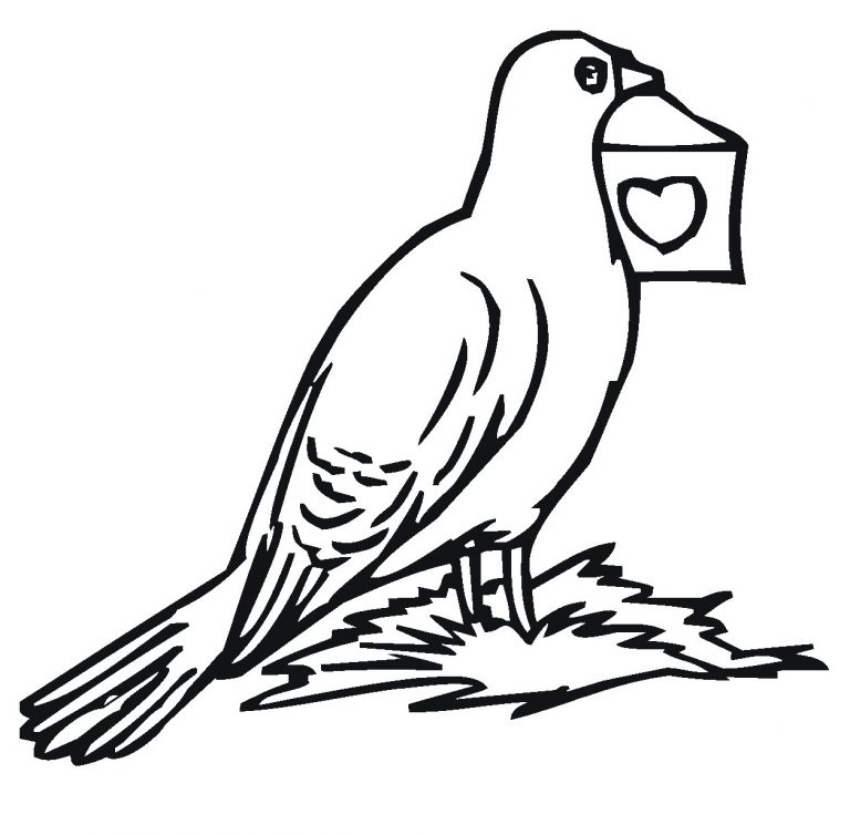 Pigeon Coloring Pages to Print