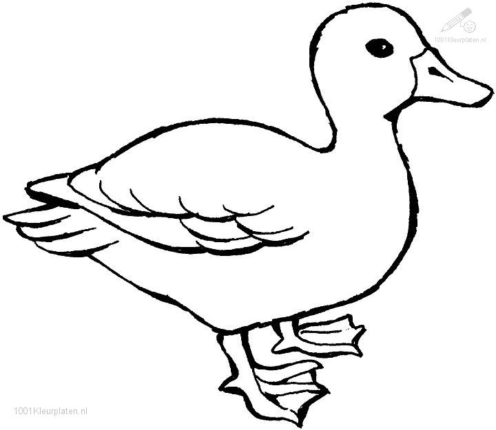 Ugly Duckling Coloring Pages printable