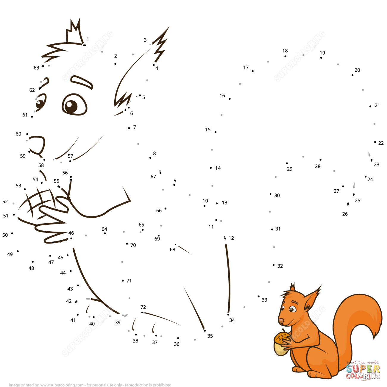 Squirrel dot to dot