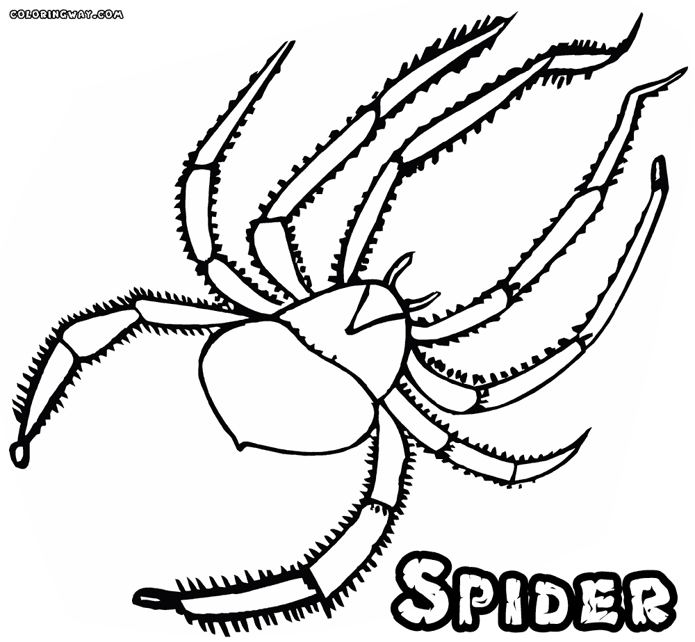 Printable scary spider for kids