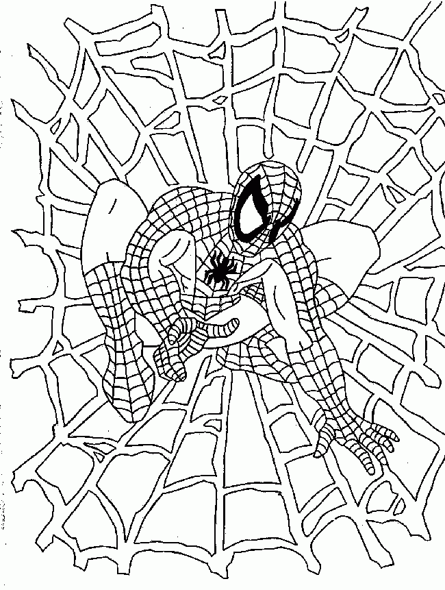 Scrary spider web