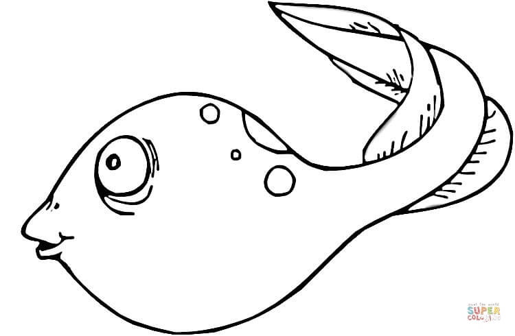 New Tadpole coloring page