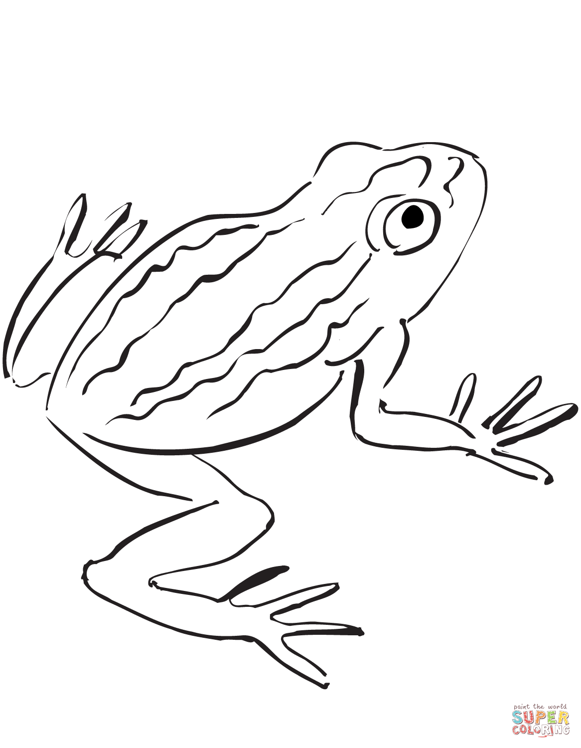 New toad coloring page