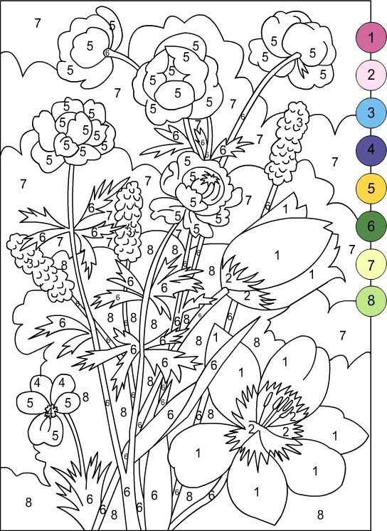 Color by Number for Adults Some Flowers