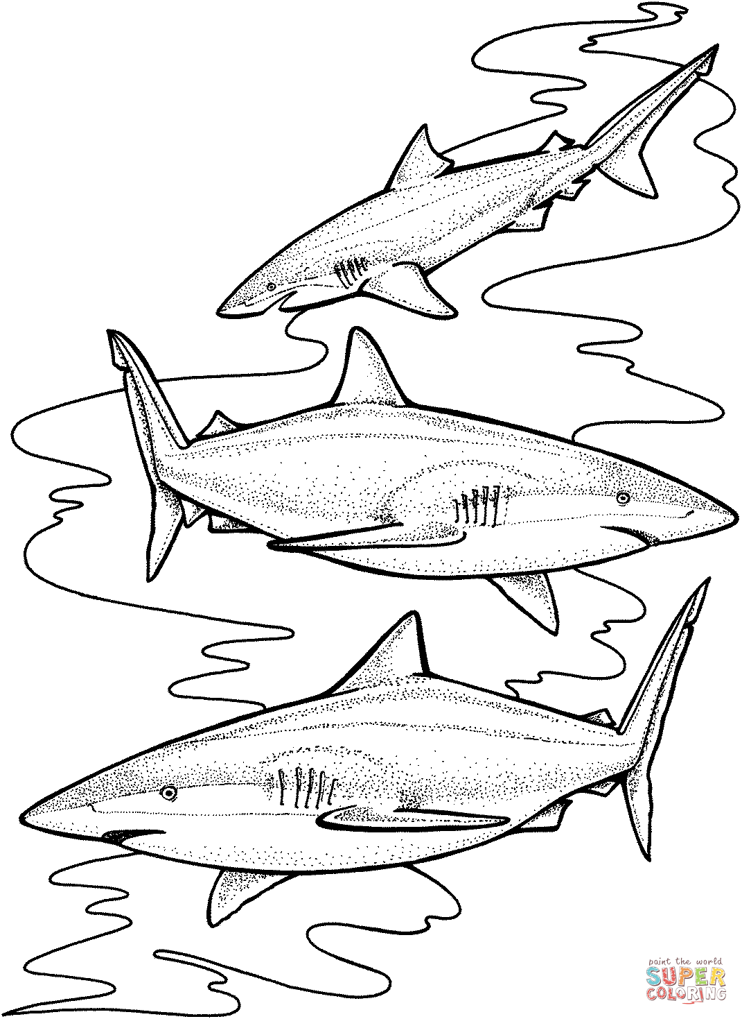 Three tiger sharks