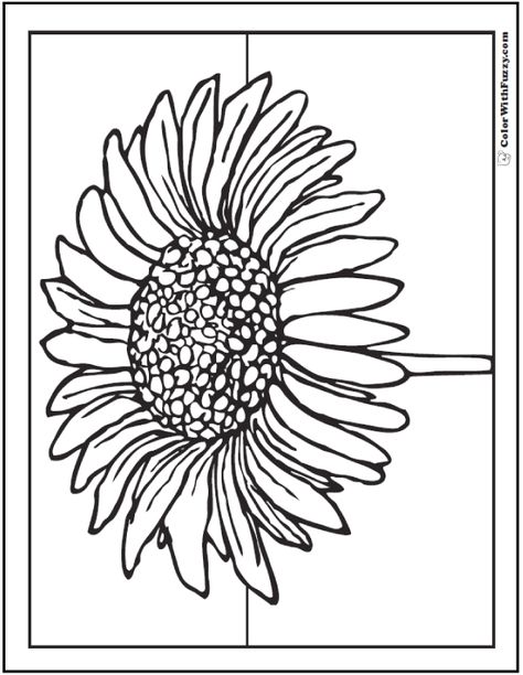 Daisy flower for kids