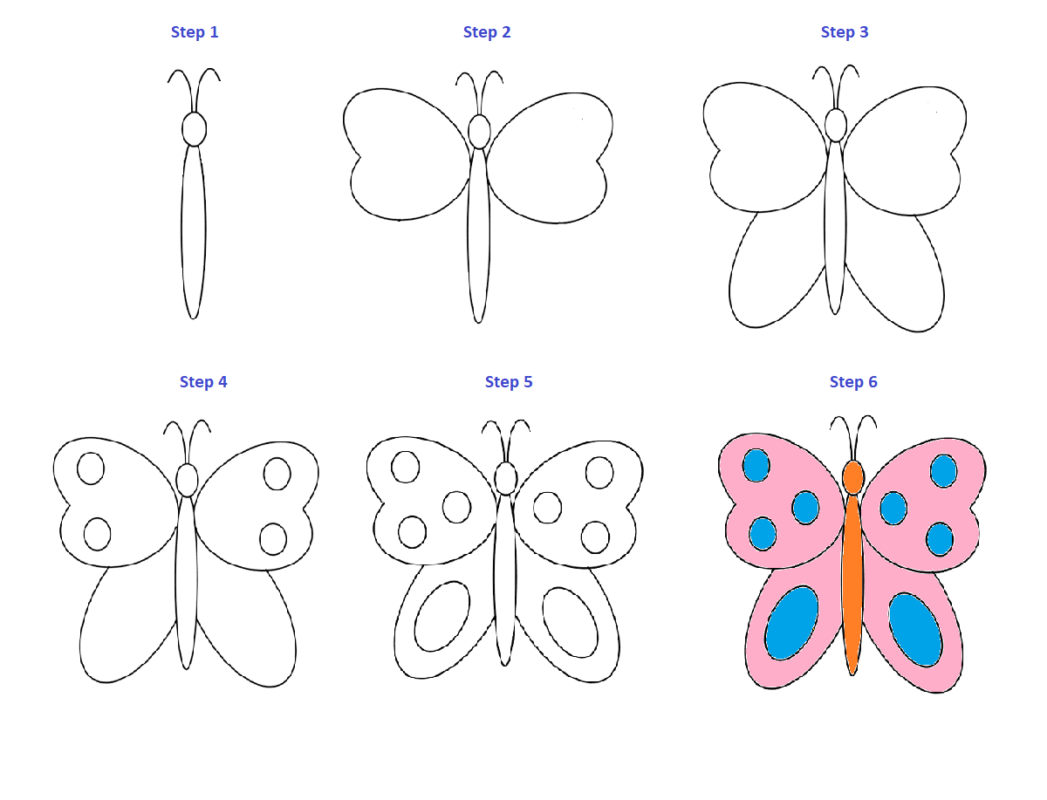 how-to-draw-a-butterfly-step-by-step-easy