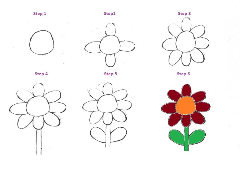 How To Draw A Daisy Flower Step By Step Easy