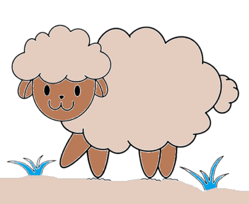 How To Draw A Sheep Step By Step