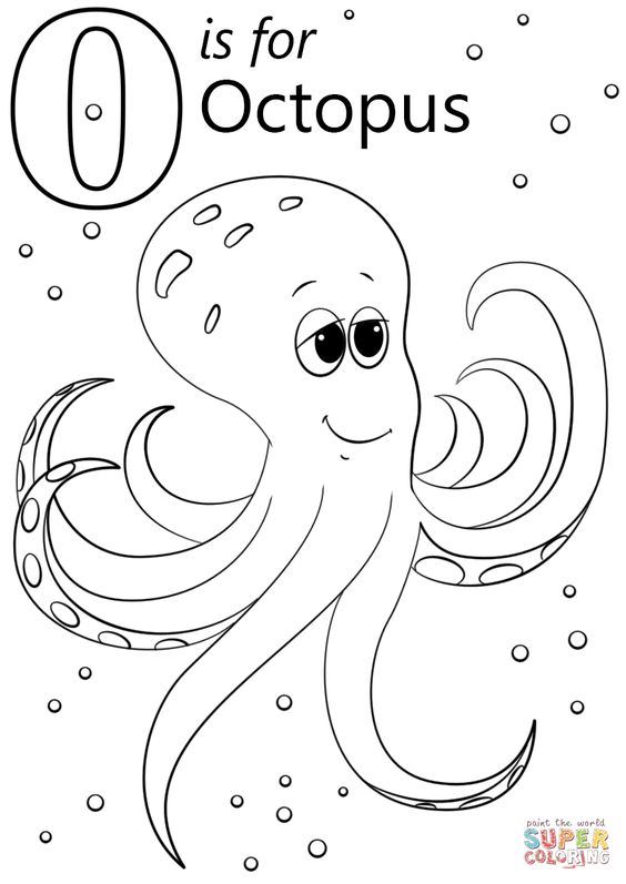 O is for octopus