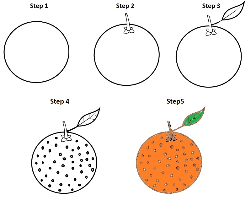How To Draw An Orange - Easy Drawing Tutorial For Kids