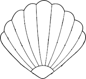 How To Draw A Scallop Shell Step By Step