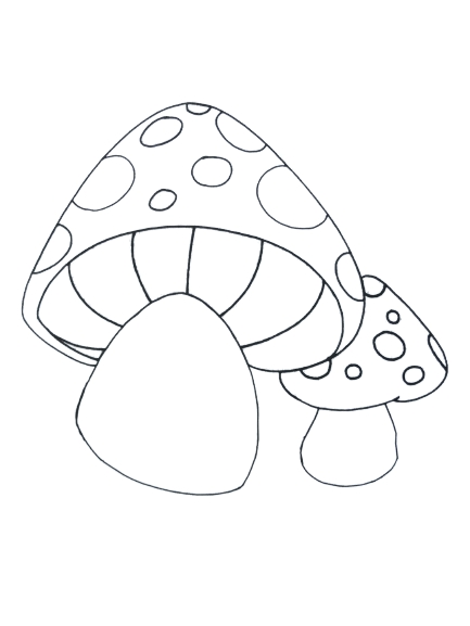 How To Draw A Mushroom – A Step By Step Guide