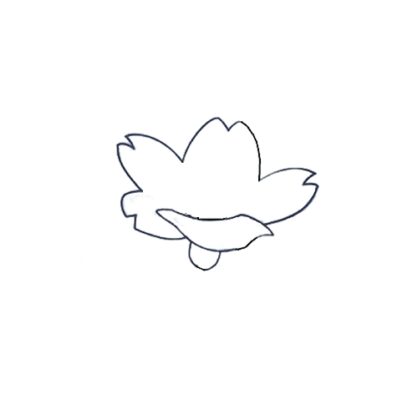 How to Draw an Apricot Flower Step by Step
