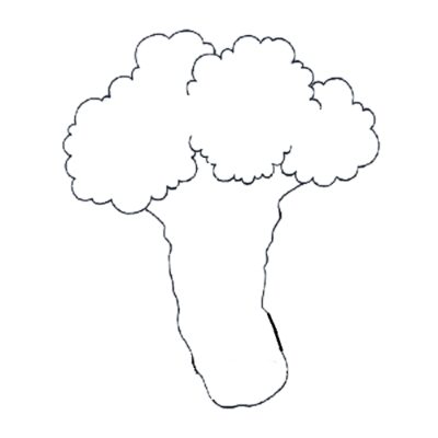 How to Draw a Cauliflower Step by Step