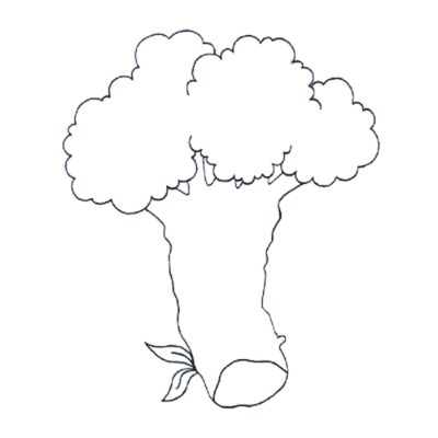 How to Draw a Cauliflower Step by Step