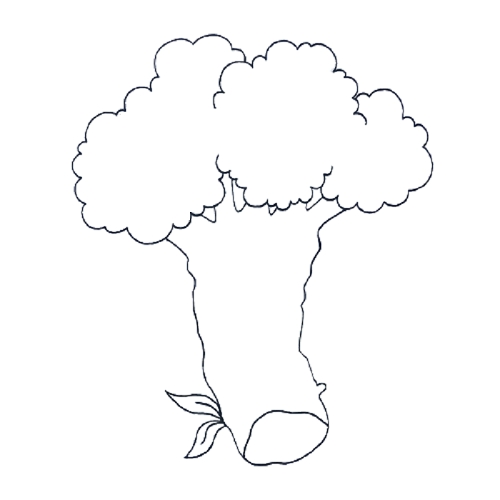 How To Draw A Cauliflower - A Step By Step Guide