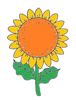How To Draw A Sunflower Step By Step