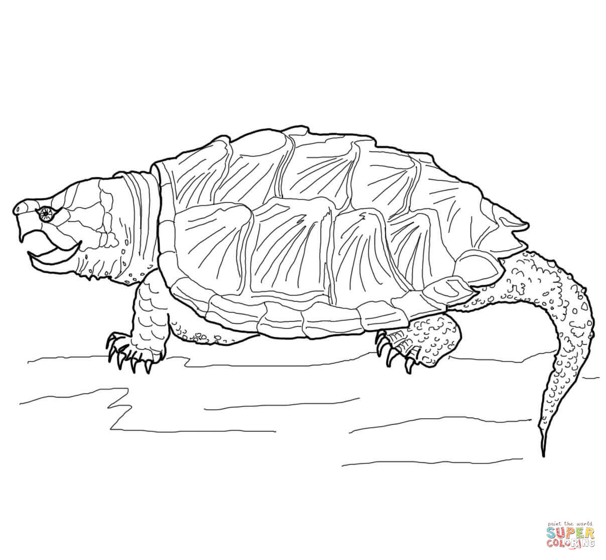 Alligator snapping turtle coloring page