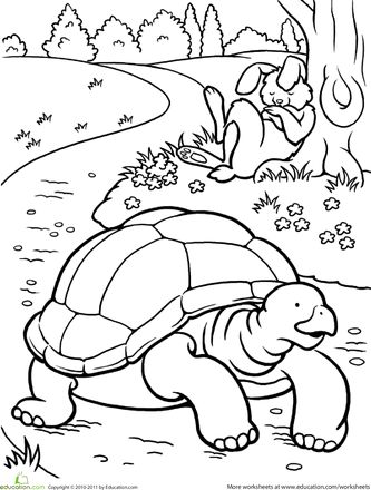 Color the Tortoise and the Hare