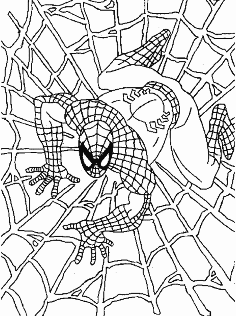 Coloring for kids spider man