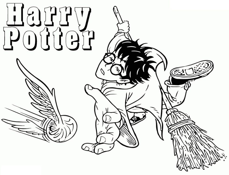 Harry Playing Quidditch Optimized