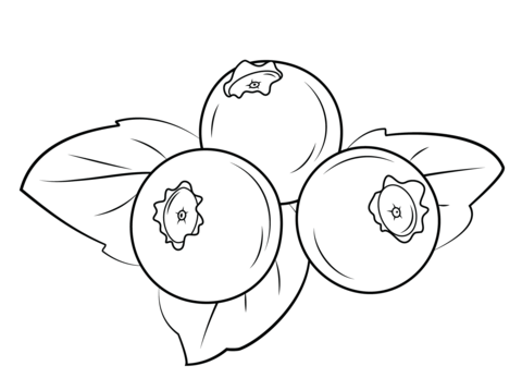 Blueberry 2 Coloring Page