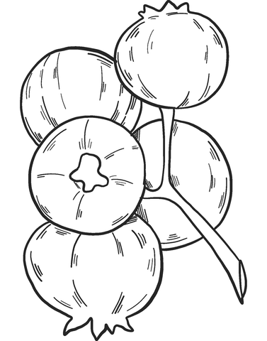 Blueberry 3 Coloring Page