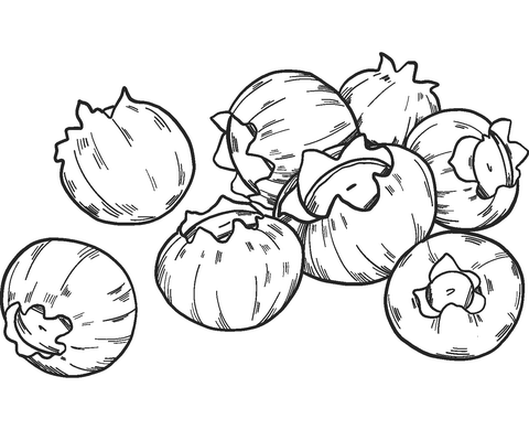 Blueberry 4 Coloring Page