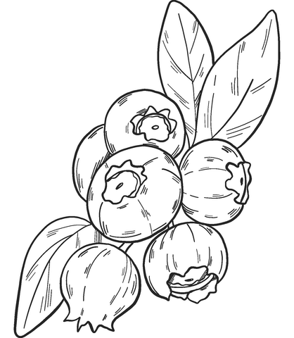 Blueberry 8 Coloring Page