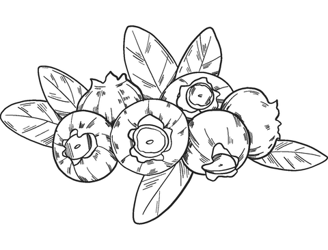 Blueberry 9 Coloring Page