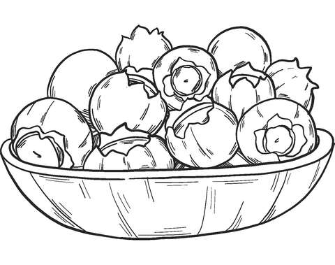 Blueberry Coloring Page Easy