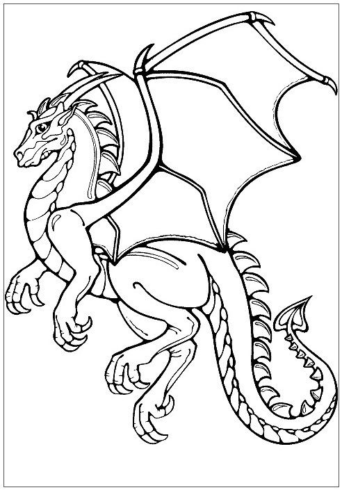 Dragon Images